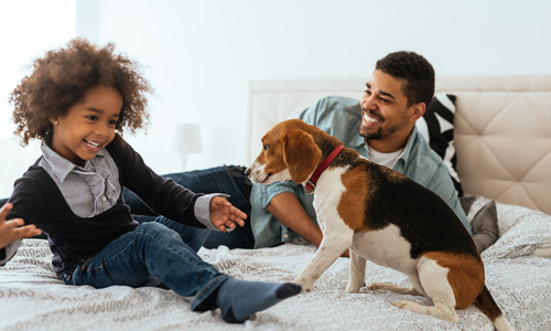 Family playing with their dog