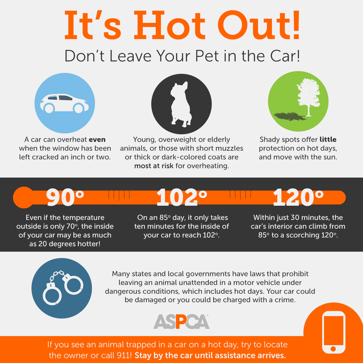 It's hot out! Don't leave your pet in the car!